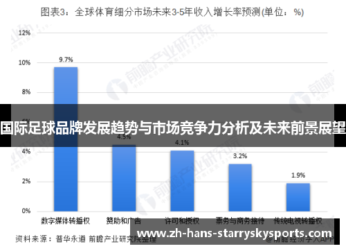 国际足球品牌发展趋势与市场竞争力分析及未来前景展望