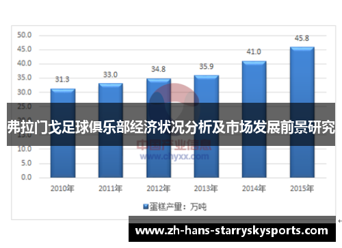 弗拉门戈足球俱乐部经济状况分析及市场发展前景研究