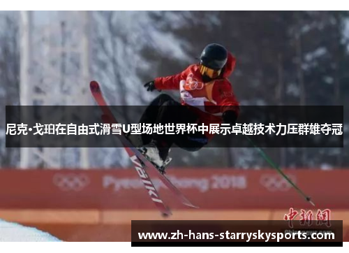 尼克·戈珀在自由式滑雪U型场地世界杯中展示卓越技术力压群雄夺冠