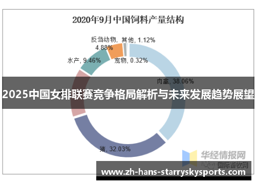 2025中国女排联赛竞争格局解析与未来发展趋势展望