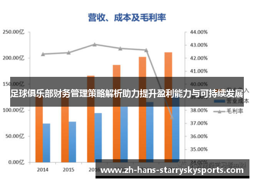 足球俱乐部财务管理策略解析助力提升盈利能力与可持续发展