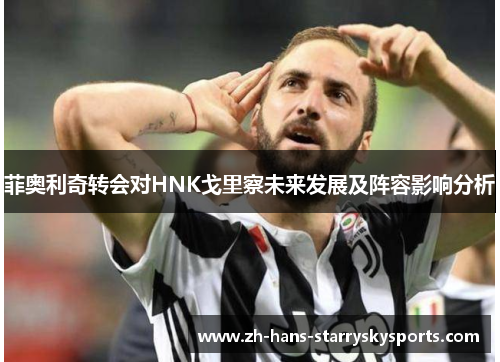 菲奥利奇转会对HNK戈里察未来发展及阵容影响分析