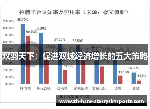 双羽天下：促进双城经济增长的五大策略