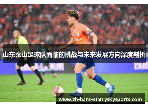 山东泰山足球队面临的挑战与未来发展方向深度剖析