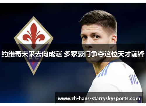 约维奇未来去向成谜 多家豪门争夺这位天才前锋