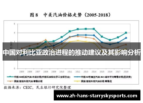 中国对利比亚政治进程的推动建议及其影响分析