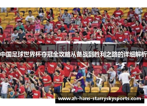 中国足球世界杯夺冠全攻略从备战到胜利之路的详细解析